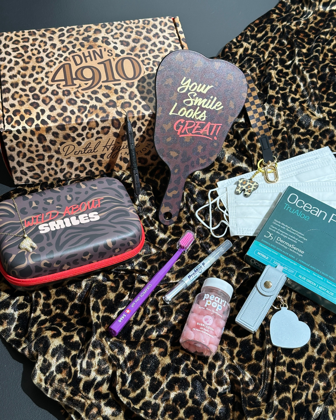 DHN's 4910 Fall Box 2026 - Wild About Smiles