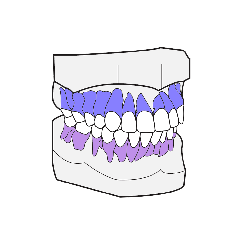 Typodont Sticker